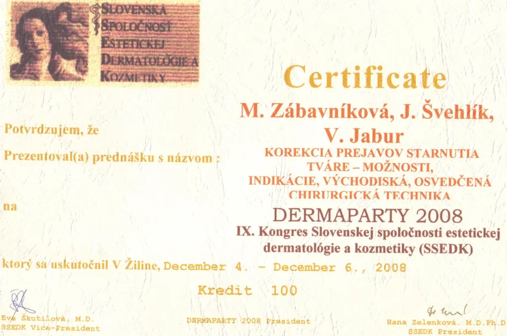 2008 Dermapárty